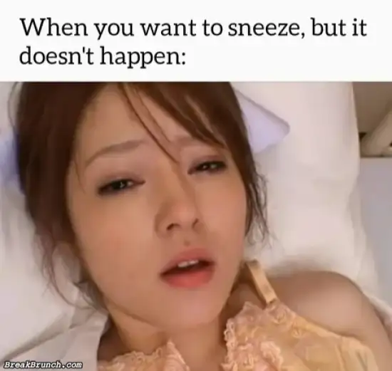 When you need to sneeze
