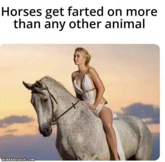 Horses get farted on more than any other animals