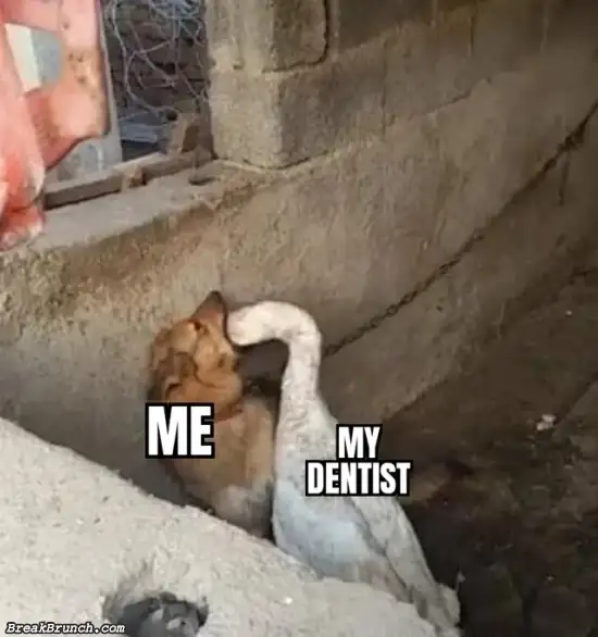 My dentist and me