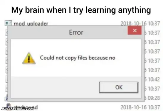 My brain when I am trying to learn anything