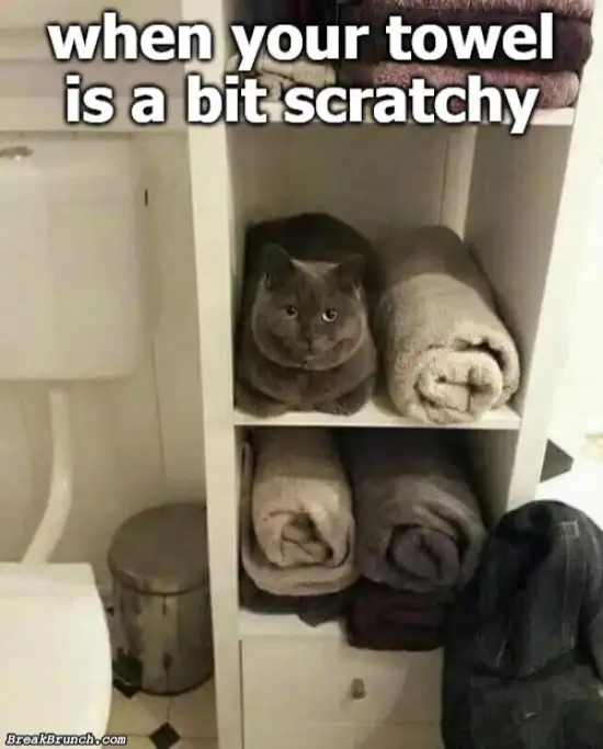 When your towel looks different