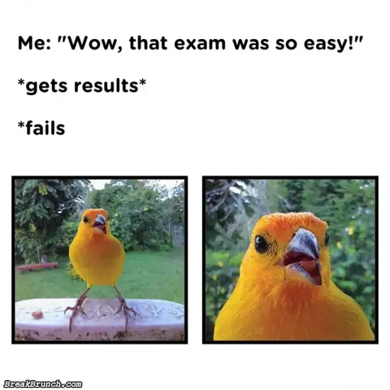 When the exam was so easy