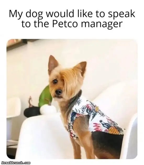My dog wants to talk to your manager