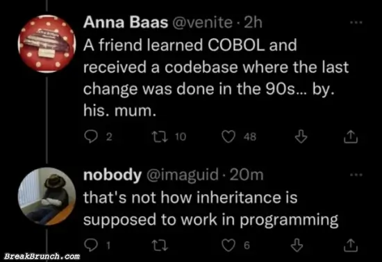 This is the perfect example of inheritance in programming