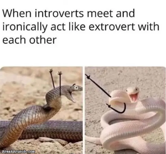 When introverts act like extrovert