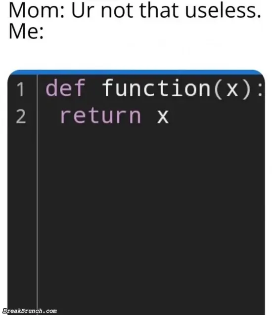 The most useless function