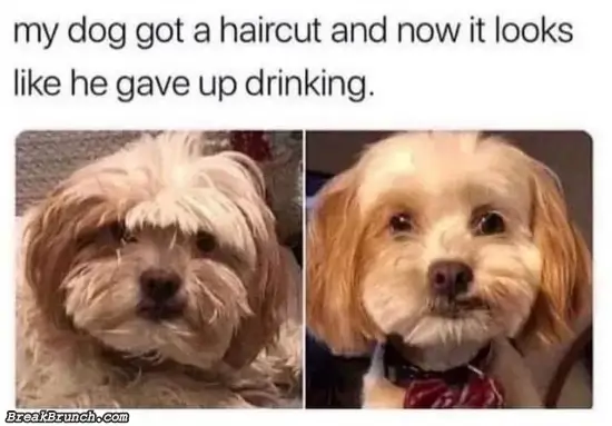 My dog looks like he gave up drinking
