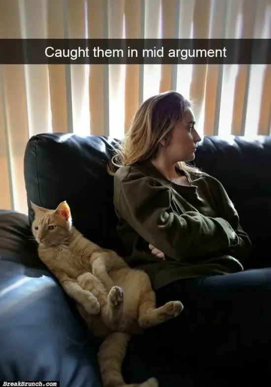 My girlfriend and cat in the middle of fight