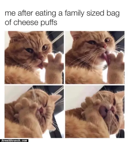 Me after eating big bag of Cheetos