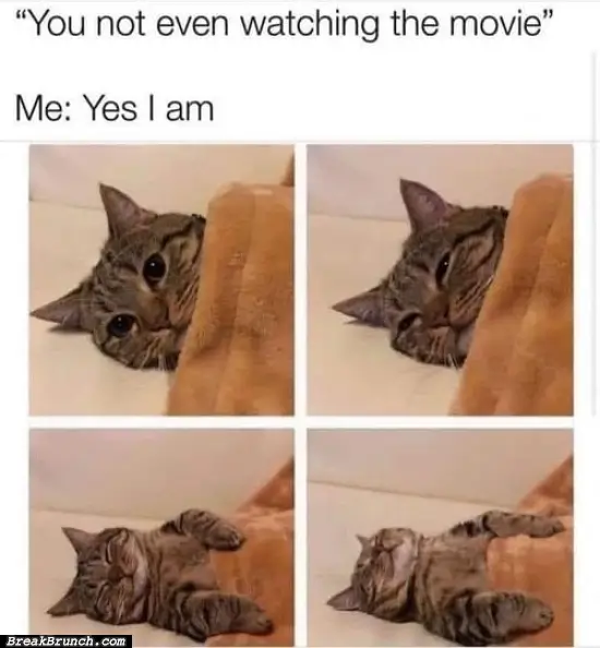 You are not even watching the movie