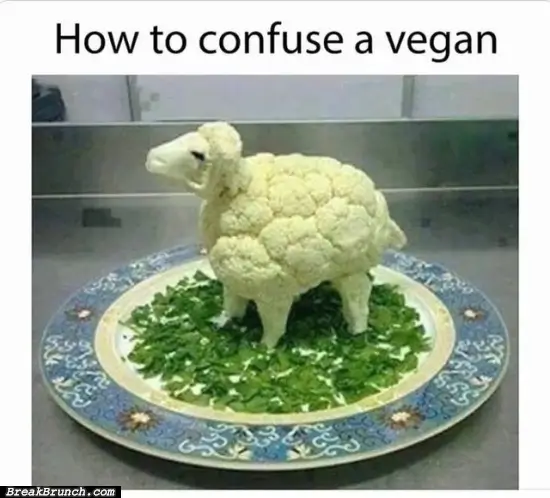How to confuse a vegan