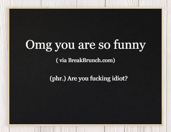 Hilarious honest Dictionary – OMG you are so funny