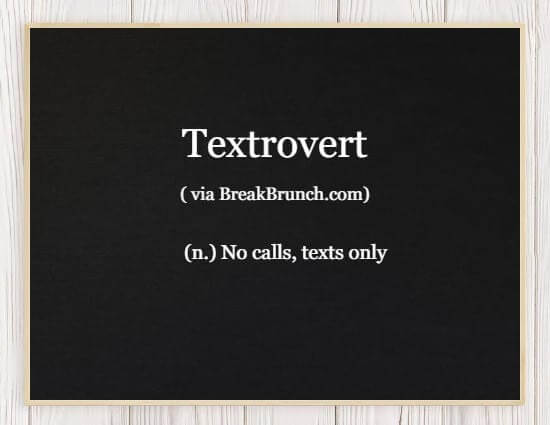 Hilarious honest Dictionary – Textrovert
