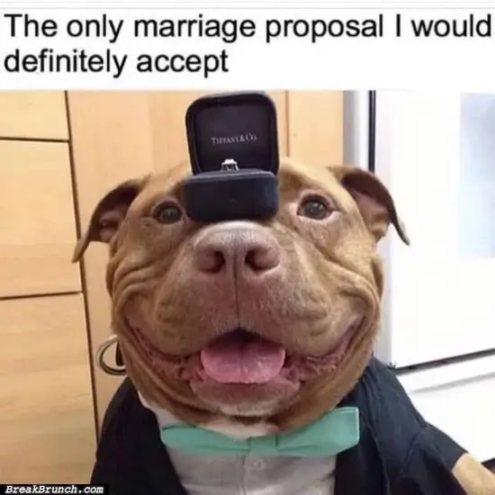 How to get marriage proposal 100% accepted