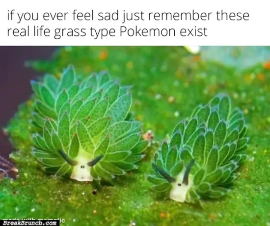 Real life grass type pokemon exists
