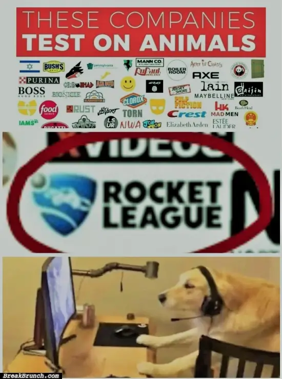 How is rocket league testing on animal