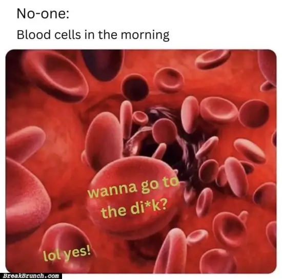 Blood cells in the morning be like