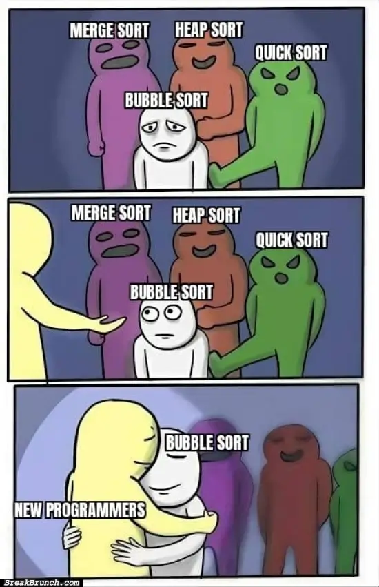 Bubble sort is new programmer’s best friend