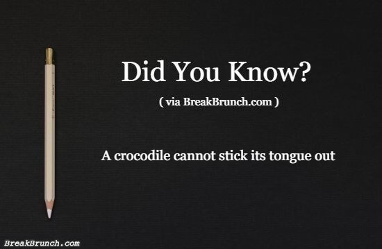 Did you know this fun fact – 2