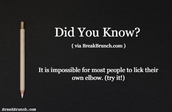 Did you know this fun fact – 11