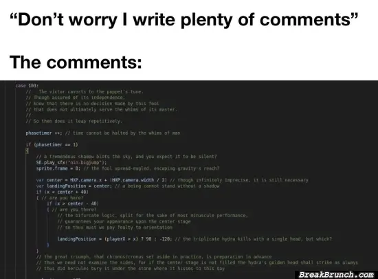 I write a lot of comment