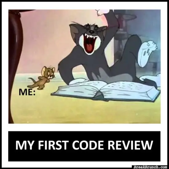 I am ready for my first code review