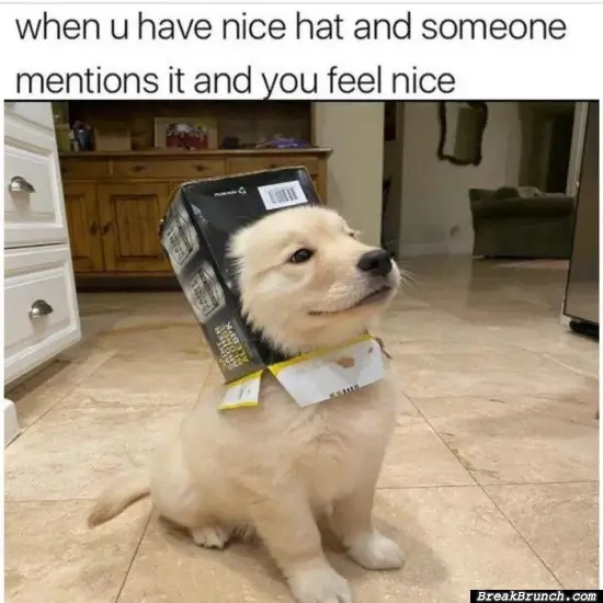 Time to show off the hat