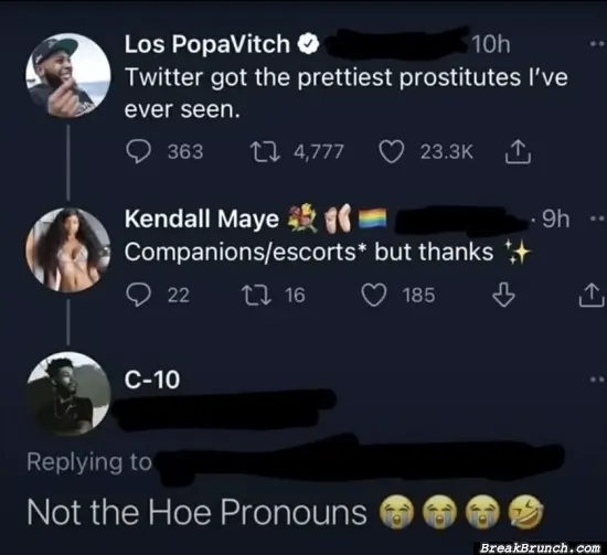 We have hoe pronouns now