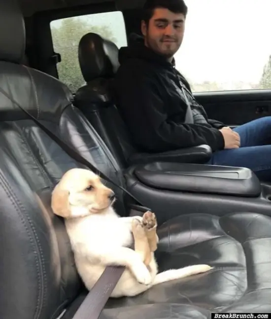 Cure boy going for first car ride