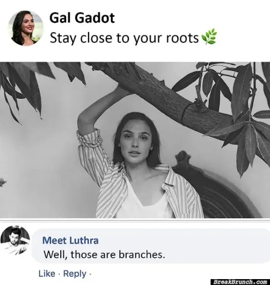 It is a branch