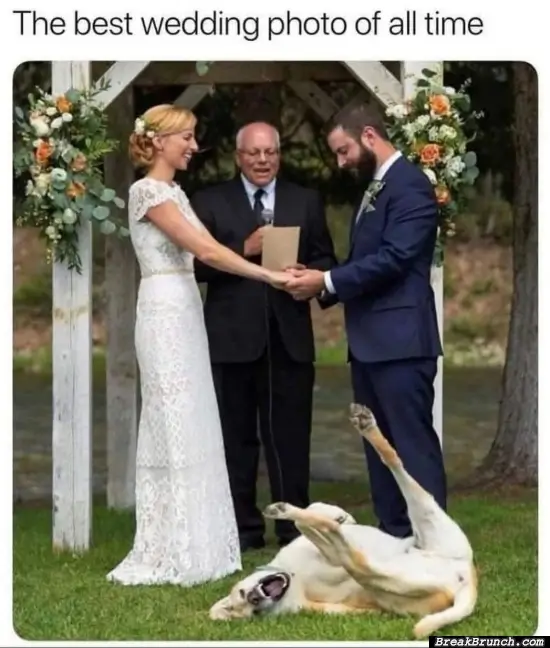 This is the best wedding photo