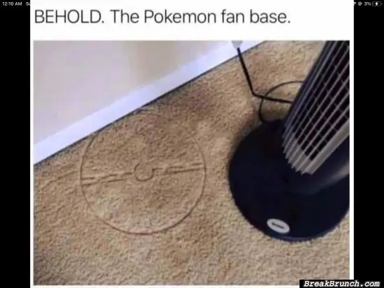 The Pokemon fan base