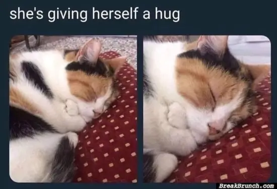 Cat is hugghing herself in sleep