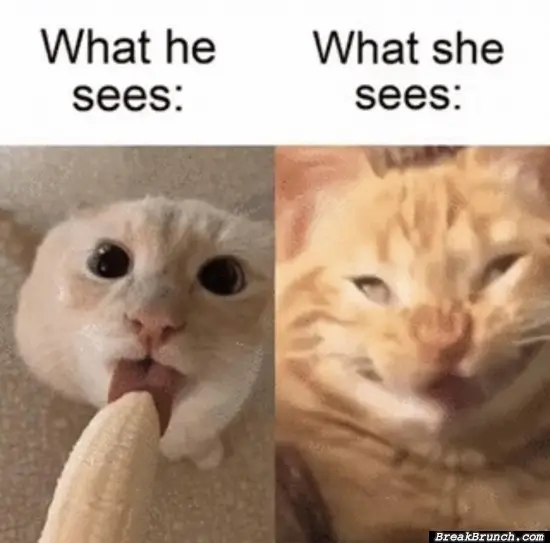 What she sees vs what he sees