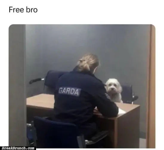 Free that bro