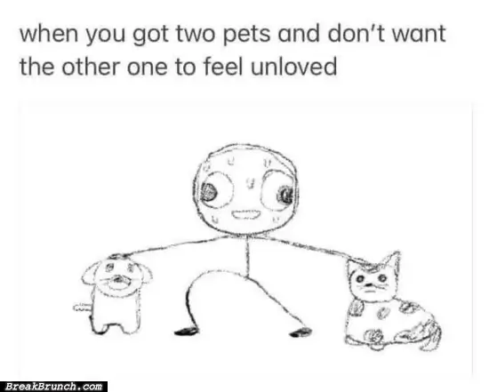 Petting two pets at the same time
