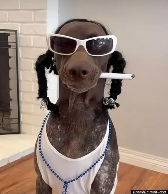 This is the real snoop dog