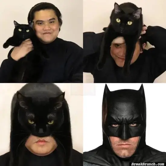 How to cosplay as Batman with your cat
