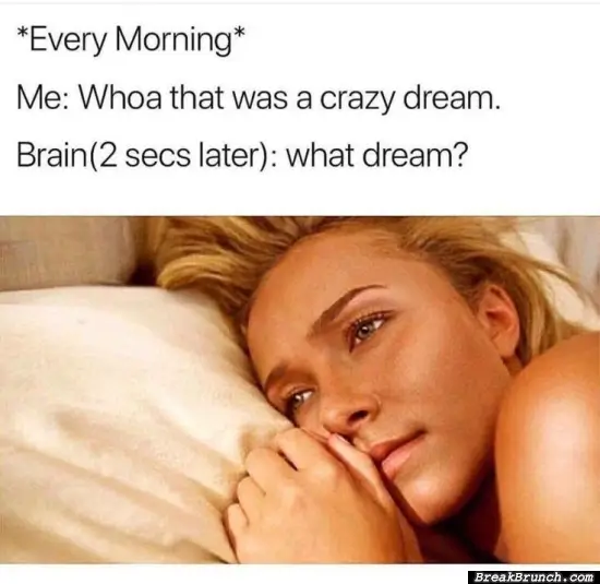 Every morning with my crazy dream