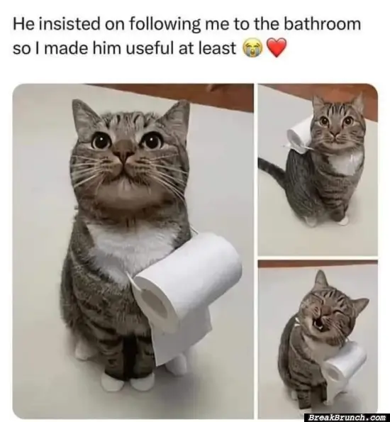 Now he is useful in the bathroom