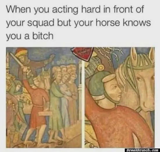 When the horse know you are a b*tch