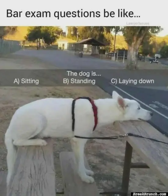 Why bar exam questionsa re so hard
