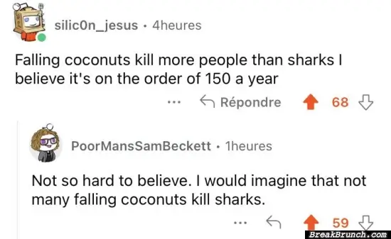 Falling coconuts kill more people than shark