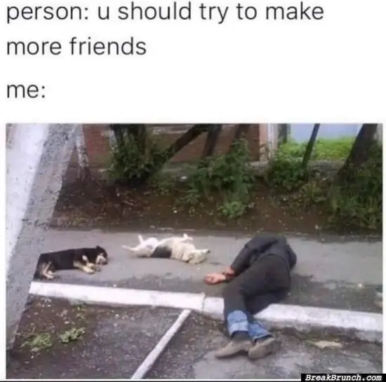 You should try to make more friends