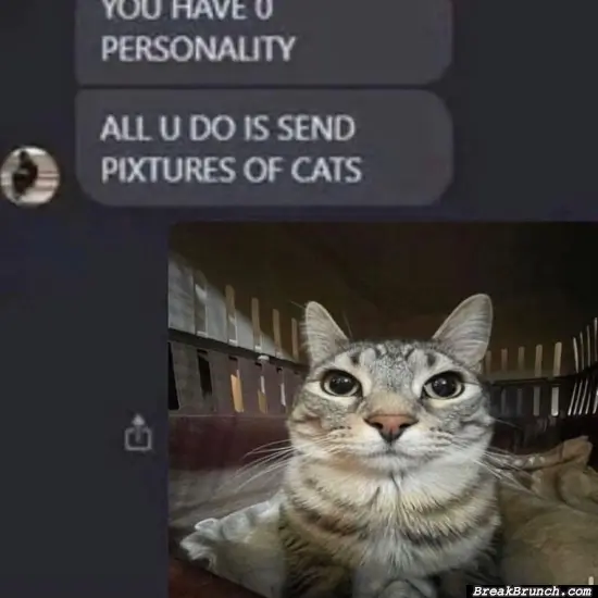 All you do is send cat pictures