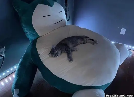 I want this snorlax
