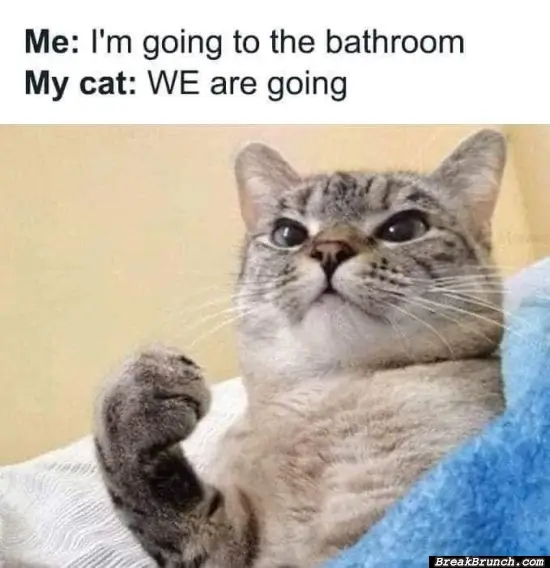 We are going to bathroom together