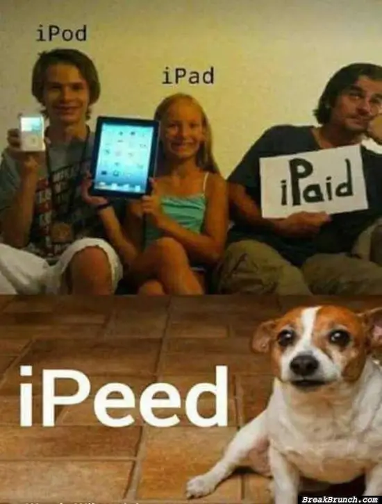 Ipaid vs Ipeed
