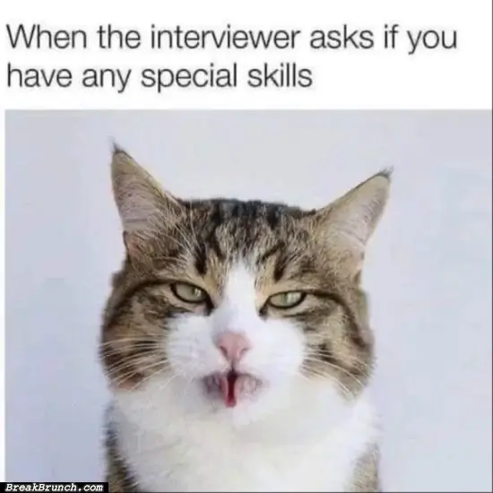 Funny cat meme – 16