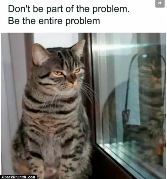 Funny cat meme – 13